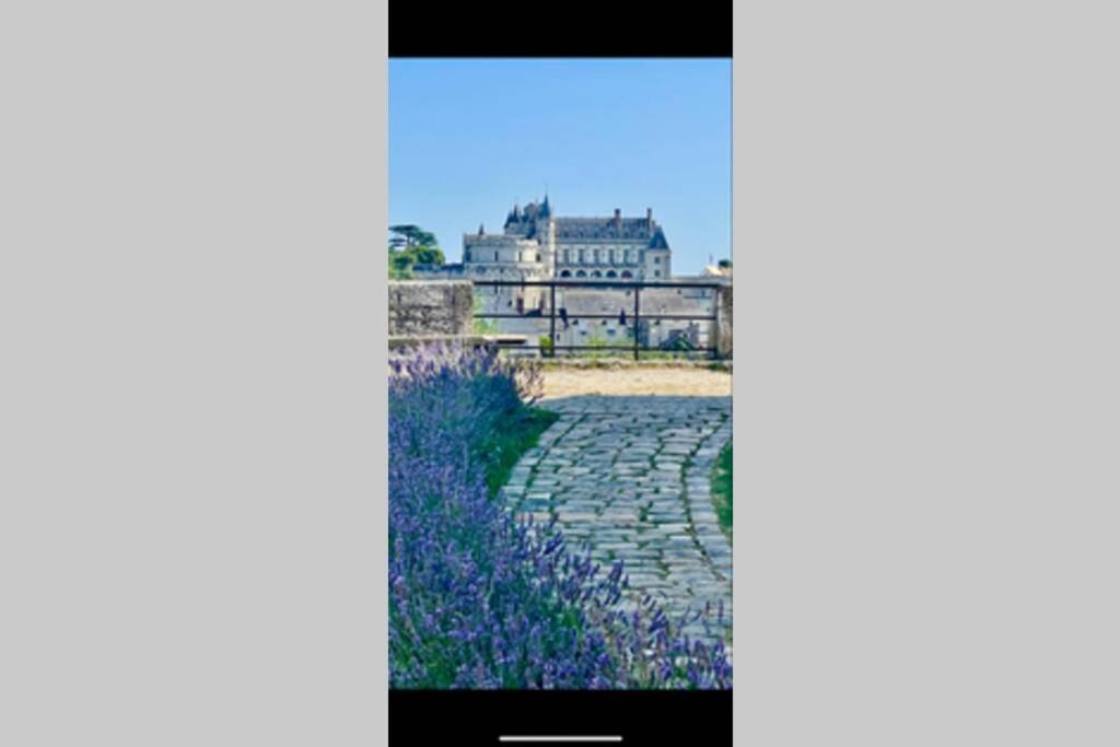 Le 17 Entre Gare et Château Amboise Exterior foto